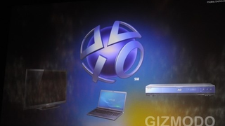 PlayStation Network Brings Single ID, Premium Media Store to Tons of Sony Products